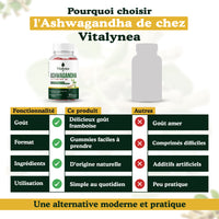 🔥 Ashwagandha Gummies + Vitamine D2 – Réduisez le Stress & Retrouver votre Équilibre Naturel | 60 Gummies